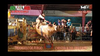 NUEVO DESTRUCTOR TRIANGULO DE FUEGO VS EL CHESTERCITO JR DEL HIGUERON EN WENDELL NC GIRA USA 2021 [upl. by Zellner]