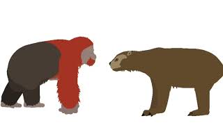 Gigantopithecus vs short faced bear [upl. by Osher369]