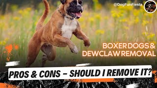 Boxer Dogs amp Dewclaw Removal Pros amp Cons  Should I Remove It [upl. by Ordisy]