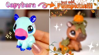 LPS Makeover 5 🍁 Capybara [upl. by Yllaw]