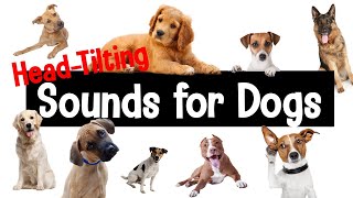 Sounds for Dogs  HeadTilting Sounds Your Dog Will Love [upl. by Thorstein640]