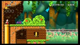 Newer Super Mario Bros Wii 100 World 1  Yoshis Island [upl. by Aimas]