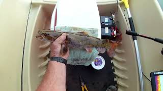 Philpott ReservoirHorseshoe Point 👉 Southern Virginia Fishing [upl. by Lev273]