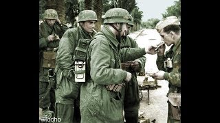 German Paratrooper Prison Break 1944 [upl. by Anayeek]