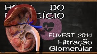 Filtração glomerular  FUVEST 2014 [upl. by Dinesh194]