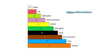 What are Cuisenaire rods [upl. by Birch]