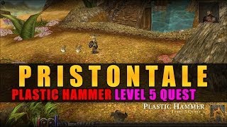 Plastic Hammer Level 5 Quest Guide Gameplay  Priston Tale [upl. by Acnoib363]