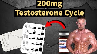 200mg Testosterone Cycle  Best Steroid Cycle  Muscle Gains  Side Effects  Doctors Analysis [upl. by Tareyn]