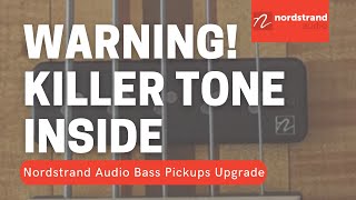 Warning Killer Tone Inside Nordstrand Audio Bass Pickups Upgrade [upl. by Nolly]