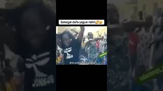 beignets waye Sénégal mo nekh 😂😂😂😂 [upl. by Eednil]