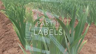 Part 1 Labels  MidAmerica Garden  From Our Field To Your Garden [upl. by Ranip]