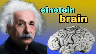 albert einstein brain history  einstein brain story  albert einstein [upl. by Narih]