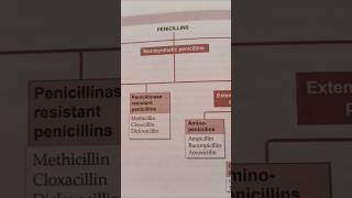 Classification of Penicillin antibacterial drugs biochemistry pharmacology pharmacy music bass [upl. by Nilrac]