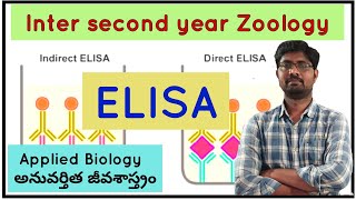 Indirect ELISA Process  అప్రత్యక్ష ELISA విధానం [upl. by Sivek]