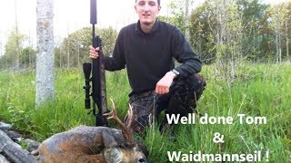 English Roebuck stalking Up close amp personal [upl. by Naveb197]