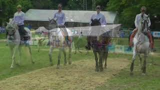 Journée du cheval  Braine lAlleud 2017 [upl. by Yenttirb772]