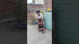 Other Rottweiler vs My Rottweiler growling funny😂🐕Rottweilerfemaledogdogrottweilershorts [upl. by Bekelja]