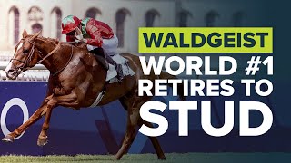 ARC HERO WALDGEIST CALLS IRELAND HOME [upl. by Ocko]