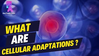 What Are Cellular Adaptations By Dr Aditi Kumar MD Pathology [upl. by Amyaj]