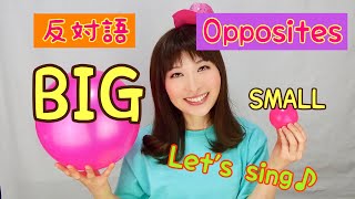 Big And Small  英語のうた  Opposites Song  英語で歌って覚えよう  英語童謡  Nursery Rhymes [upl. by Ehcar]