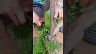 The way to dry Tobacco leaves🌱shorts viralvideo [upl. by Egoreg432]