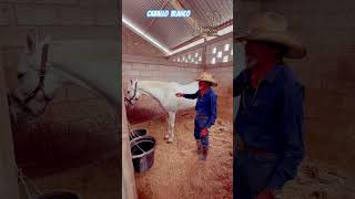 CABALLO BLANCO parientesdelrancho martinloza [upl. by Ebonee23]