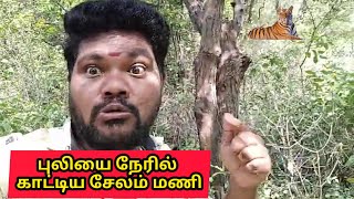 புலியை நேரில் காட்டிய சேலம் மணி 🙄  salem mani  tiger [upl. by Nylareg]