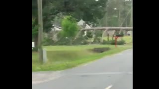 Tree down in Waycross Georgia after severe weather [upl. by Barbarese]