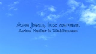 »Ave Jesu lux serena« A Tribute to Anton Heiller [upl. by Andrea]