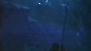 Prince Insatiable Scandalous Live New York 1993 [upl. by Gunas689]