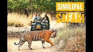 SIMILIPAL TIGER RESERVE  SIMILIPAL NATIONAL PARK  SIMILIPAL  JUNGLE SAFARI ODISHA  HINDI [upl. by Entroc]