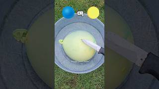 Did you expect that color🤔😀balloon balloons viral colorfunny satisfying guessthecolor [upl. by Austreng]