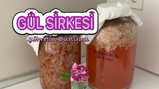 GÜL SİRKESİ NASIL YAPILIR 2 YÖNTEM İLE GÜL SİRKESİ TARİFİ  ROSE VINEGAR RECIPE gül [upl. by Catie]