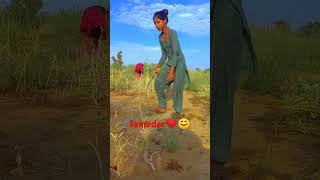 Jamedar❤😊 farming trending viralvideo shorts short jamedar [upl. by Deadman]