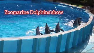 ZooMarine Dolphins show  dolphins Zoomarine emotions Portugal [upl. by Prue]