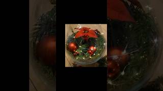 Weihnachtsstern dekorieren im Glas 🌺 Poinsettia flower decoration 🌺 [upl. by Hillie]