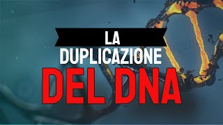 La duplicazione del DNA 🧬 [upl. by Lupiv]