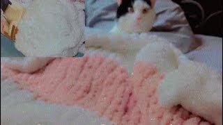 EASY Chunky Yarn Blanket Tutorial Hand Knitting For Beginners crafttutorial [upl. by Hnib]