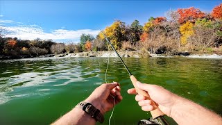 RIVER TROUT FISHING  Camp Fire Catch amp Cook [upl. by Queston120]