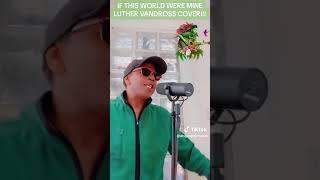 IF THIS WORLD WERE MINE  LUTHER VANDROSS  live COVER [upl. by Eiltan]