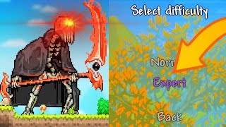 DO NOT PLAY EXPERT MODE IN MODDED TERRARIA [upl. by Farhi]