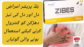 Zibes Tablet Uses Side Effects Dossage In Urdu Hindi [upl. by Josy883]