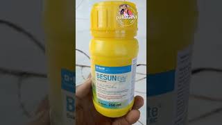 bakterisida dari BASF  obat hawar daun untuk semua tanaman [upl. by Ennovahc]