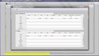 Conduct a Moderating Effects Analysis in WarpPLS [upl. by Lothaire]