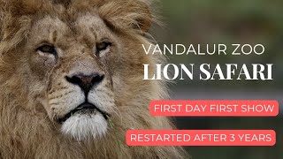 Vandalur Zoo Lion Safari  1st day 1st Show  Inagurated by TN Forest MinisterBest Zoo Safari wild [upl. by Arnold]