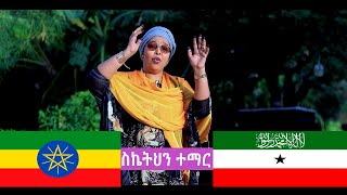 Sahra Ilays ስኬትህን ተማር  Somaliland Guushaada Daadihi Official Video 2024 [upl. by Allison]