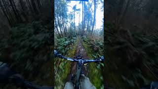 Fast TechFlow emtb insta360 mtb mtblife viral dhmtb [upl. by Euqinehs330]