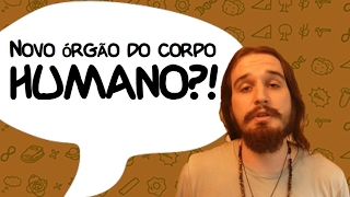 NOVO ÓRGÃO NO CORPO HUMANO  SlowNews 14 [upl. by Nnairam]