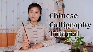 Chinese Calligraphy Tutorial｜The Eight Basic Chinese Strokes [upl. by Hardin]