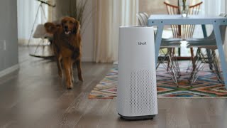 Levoit  Tower Pro HEPA Air Purifier LVH134 [upl. by Assirek]